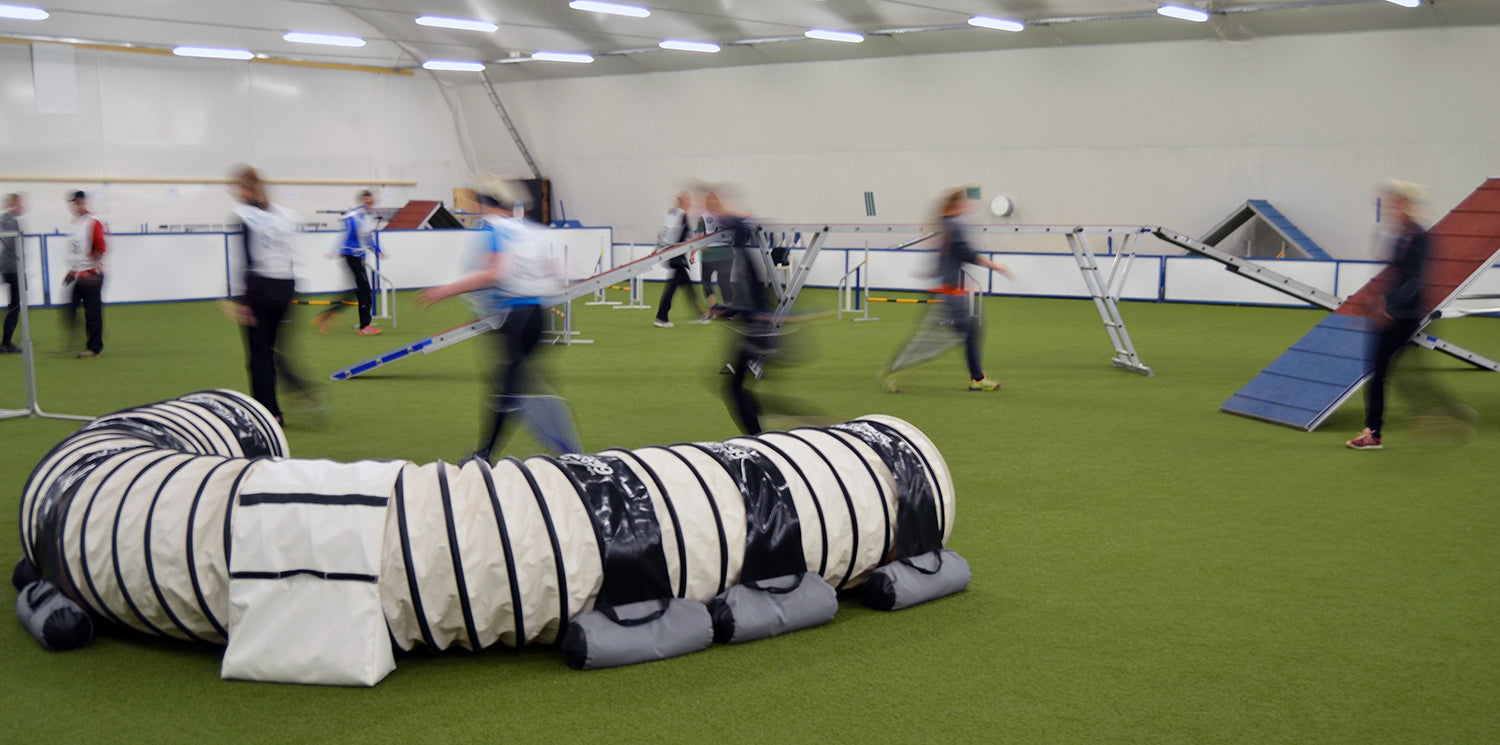 Koiraurheilijan valmentaminen