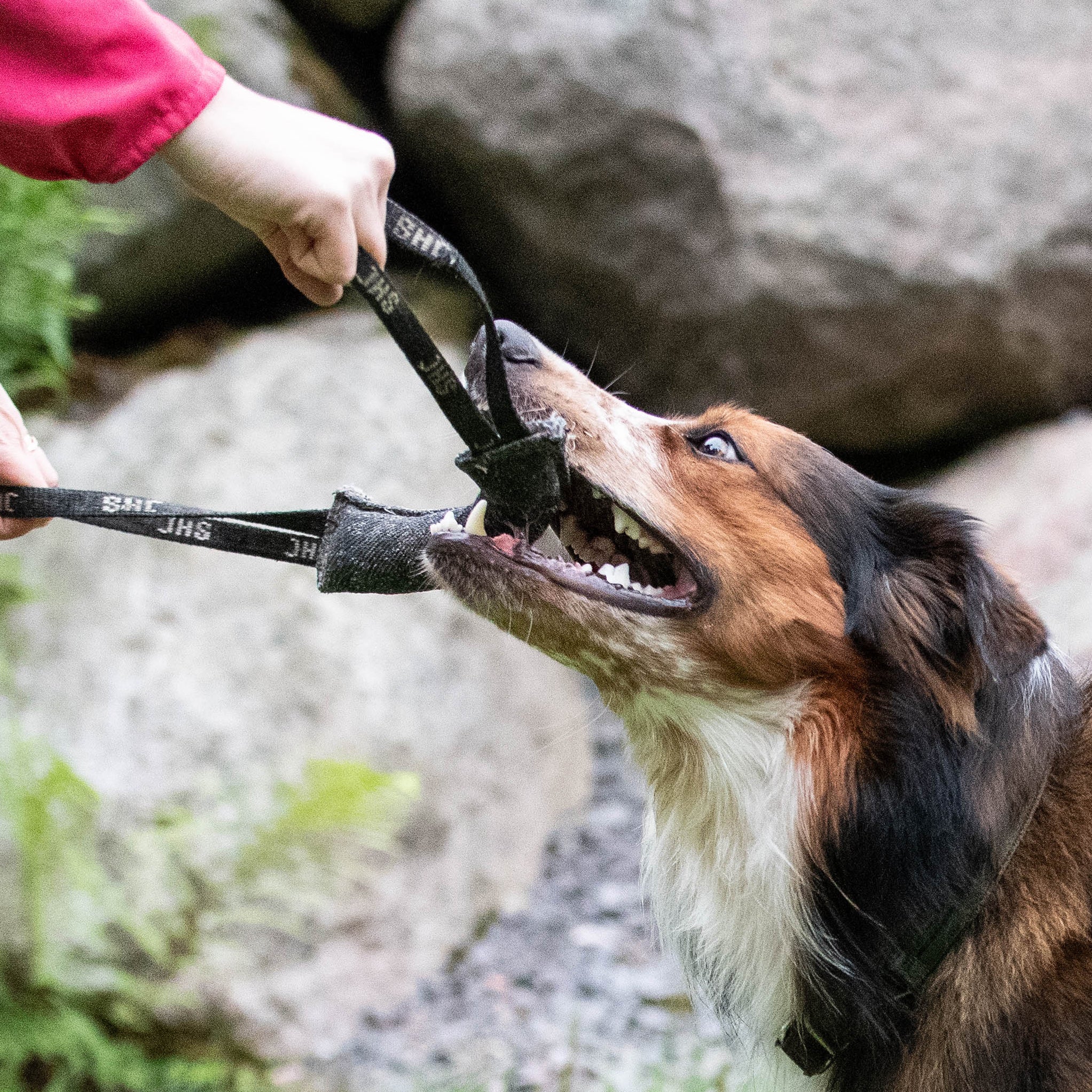 Harjoituskilpailuissa palkkaamisen täytyy olla sallittua