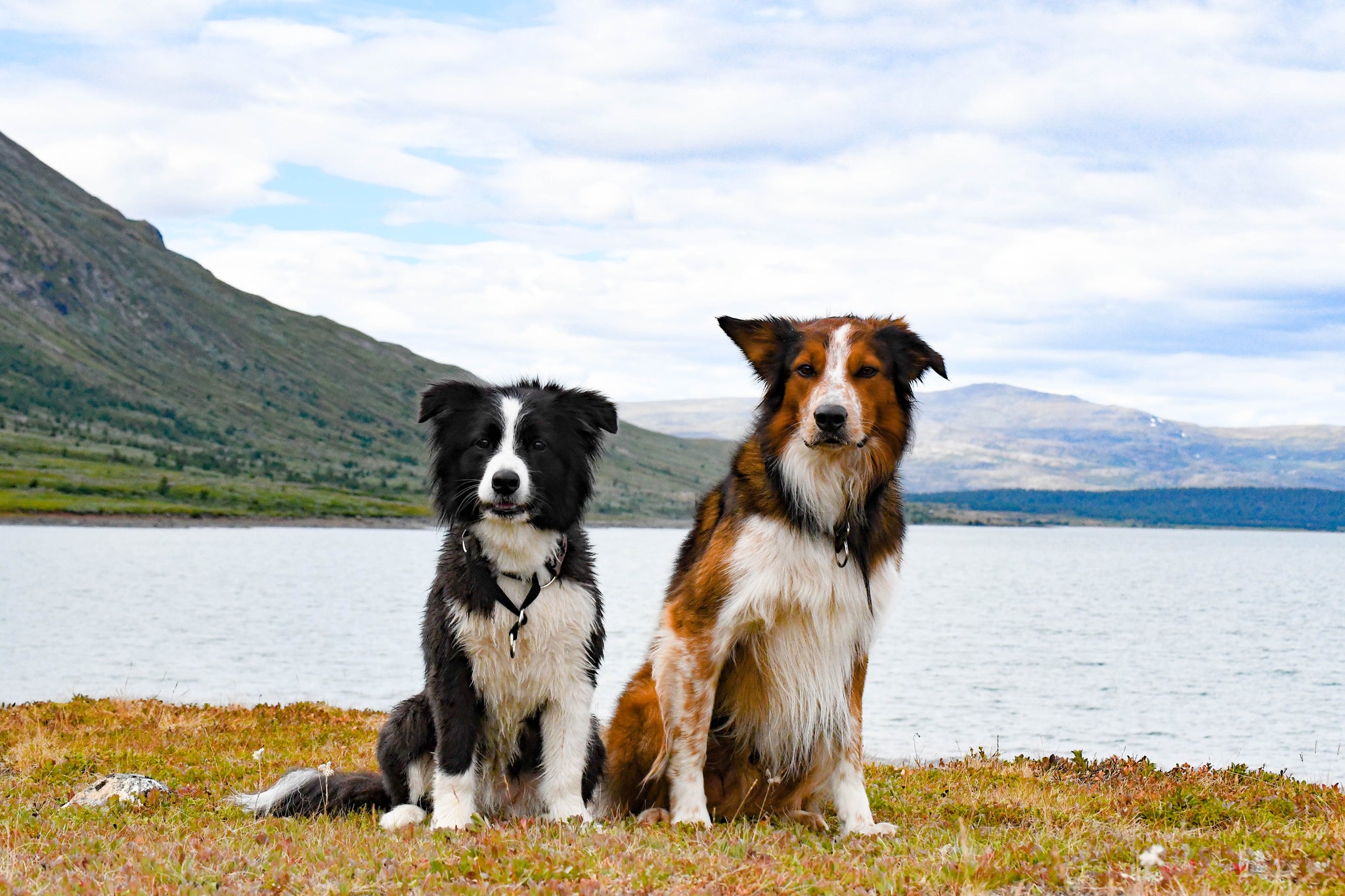 Neljä päivää Jotunheimissa