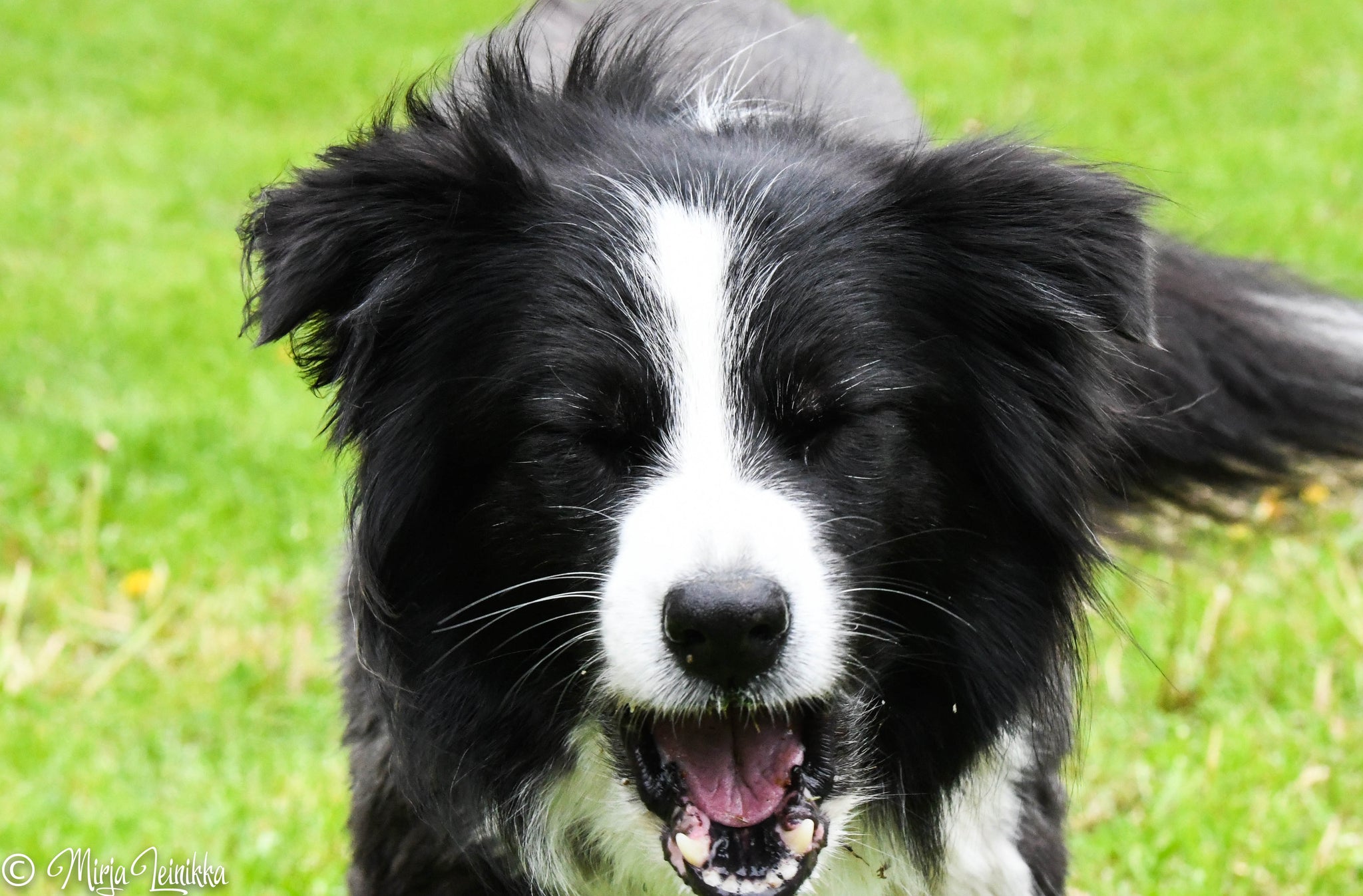 Iineksen rallytokouran haastava ylämäki