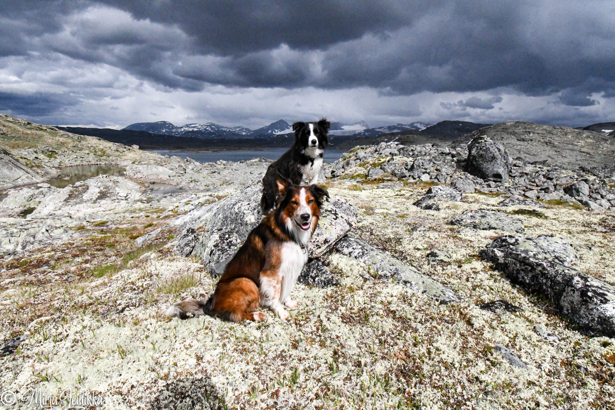 Fannaråken ja Sognefjelletin näköalareitti
