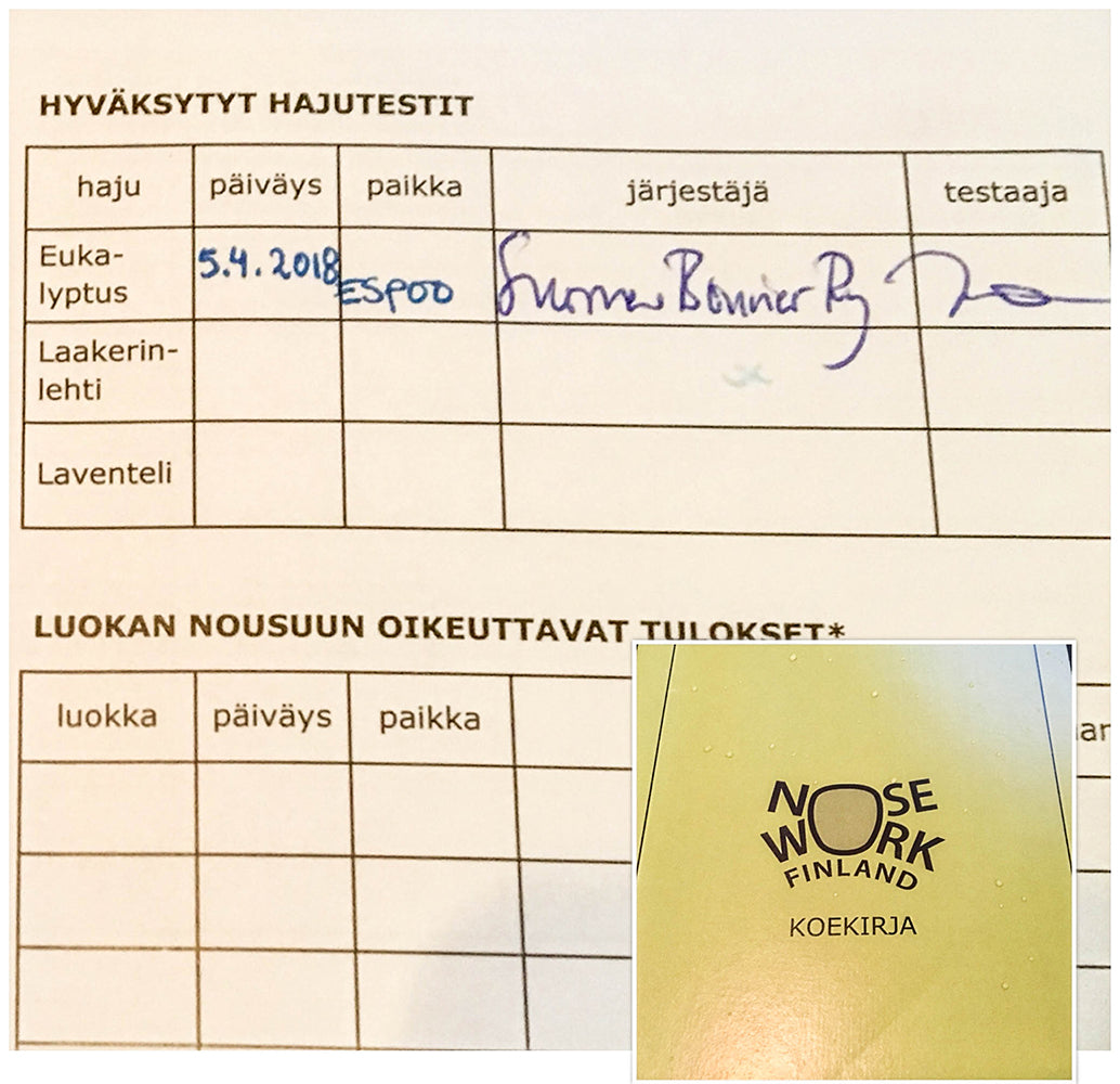 Mitä tapahtuu nose workin hajutestissä?