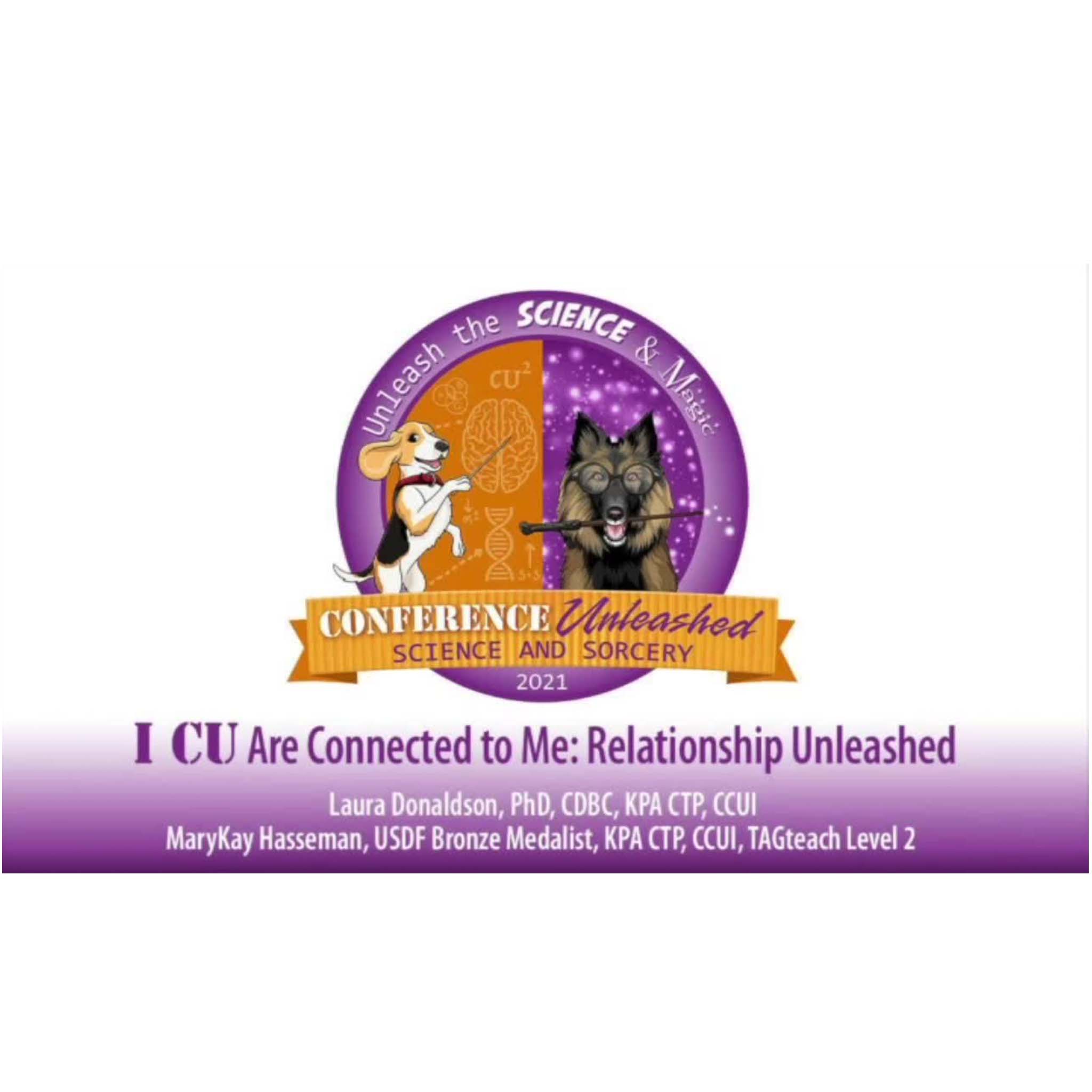 Kouluttamisesta vuoropuheluun - kun koiran ei enää tarvitse anella yhteyttä