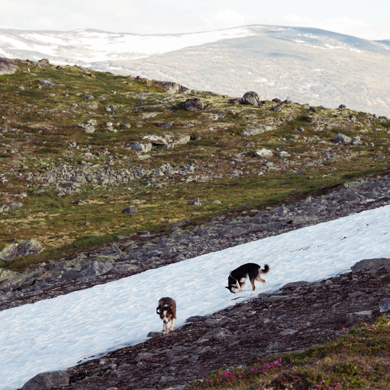Norjan kesälomareissu 4/2022: Lom ja Skjåk