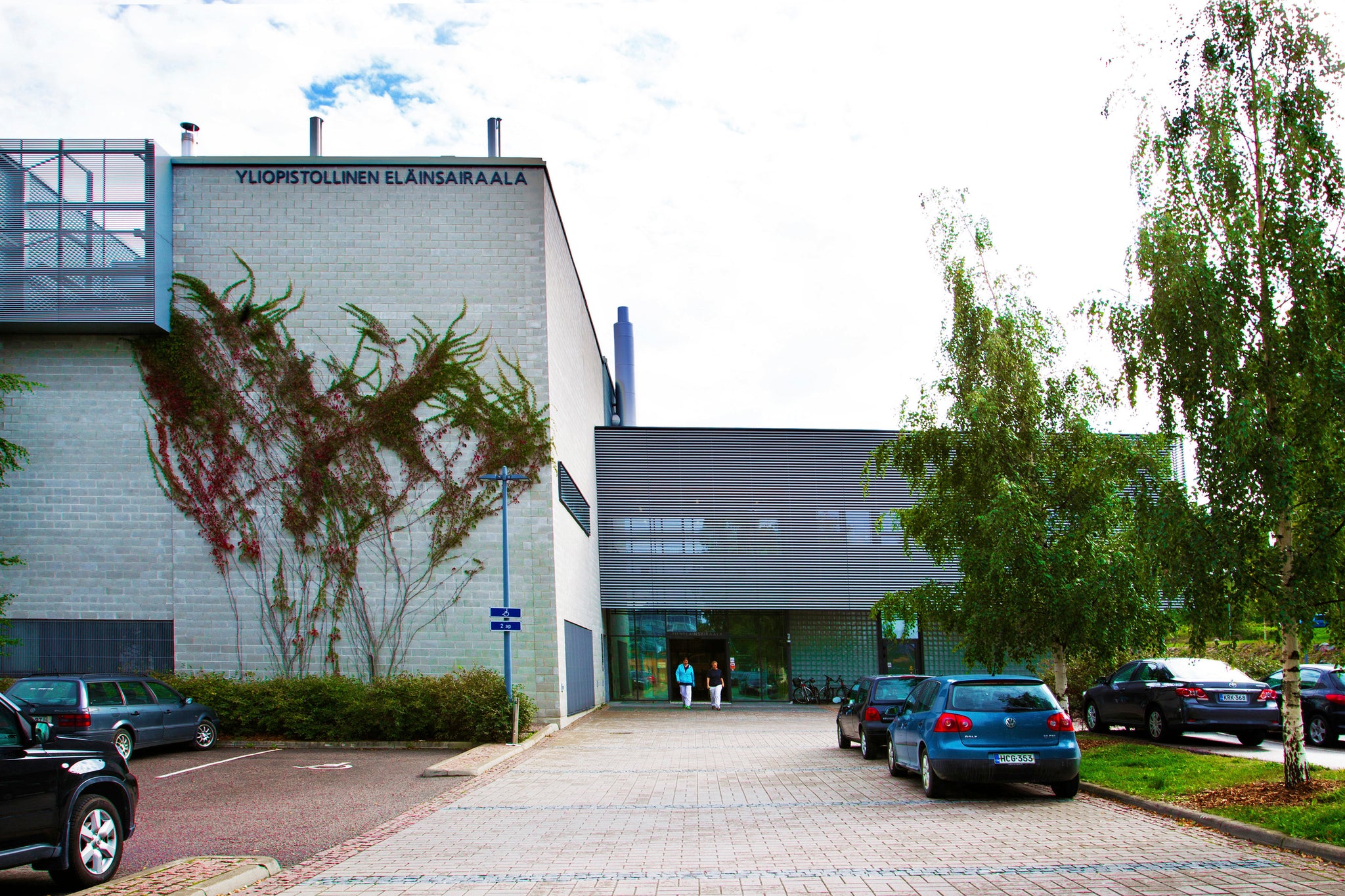 Odotettu puhelinsoitto