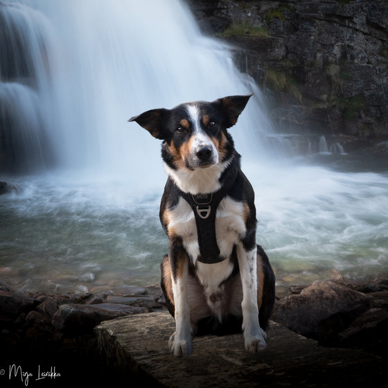 Norjan kesälomareissu 2/2022: Otta, Mysusaeter ja Hovringen