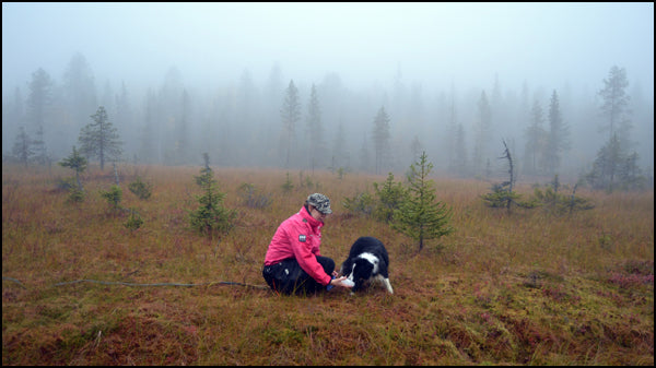 Jäljen opetus – videobloggaus