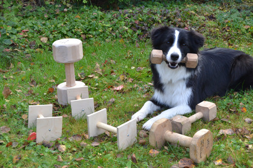 Houkuttelu vai tarjoaminen?
