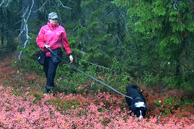 ID-rakennusetsintää