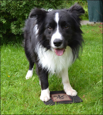 Kosketusalusta opettaa oppimaan