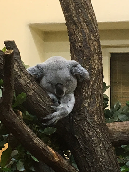 Kuka oppii ja kenen ehdoilla?