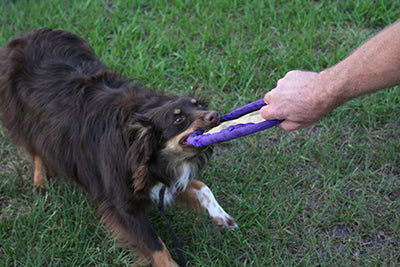 Operantti koulutus – osa 1