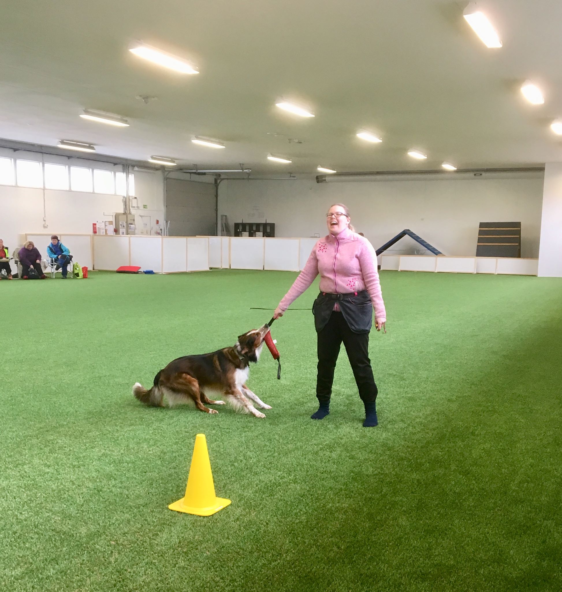 Koiraurheilijan asenne