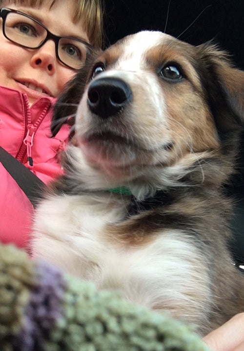 Pennusta aikuiseksi – kehittymisen ensi askelia