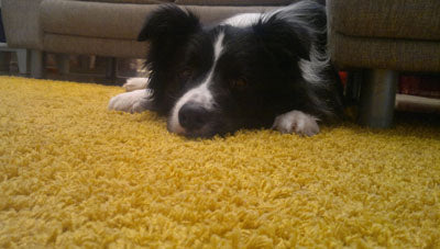 Mihin tarvitaan johtajuutta?