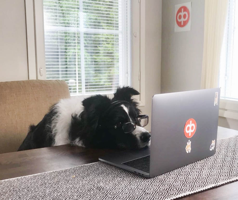 Päivä eläinnäyttelijänä