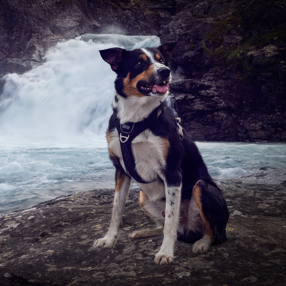 Norjan kesälomareissu 3/2022: Randsverk & Lemonsjoe