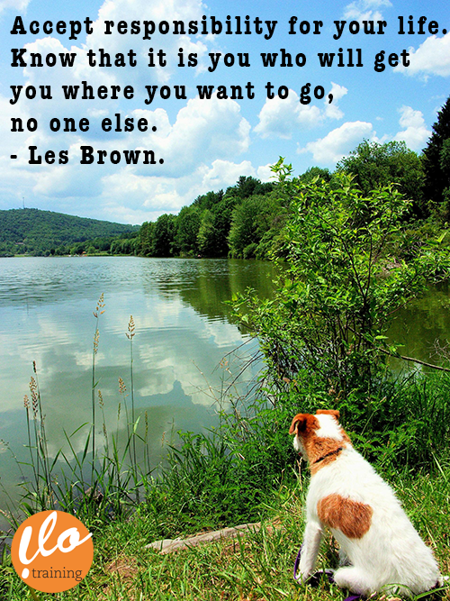 Uskalla löytää oma koulutustyylisi