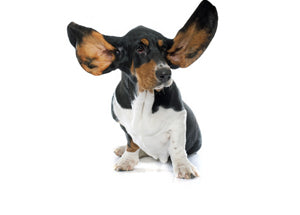 Jähmettyneestä ja hitaasta nopeaksi ja sujuvaksi suorittajaksi